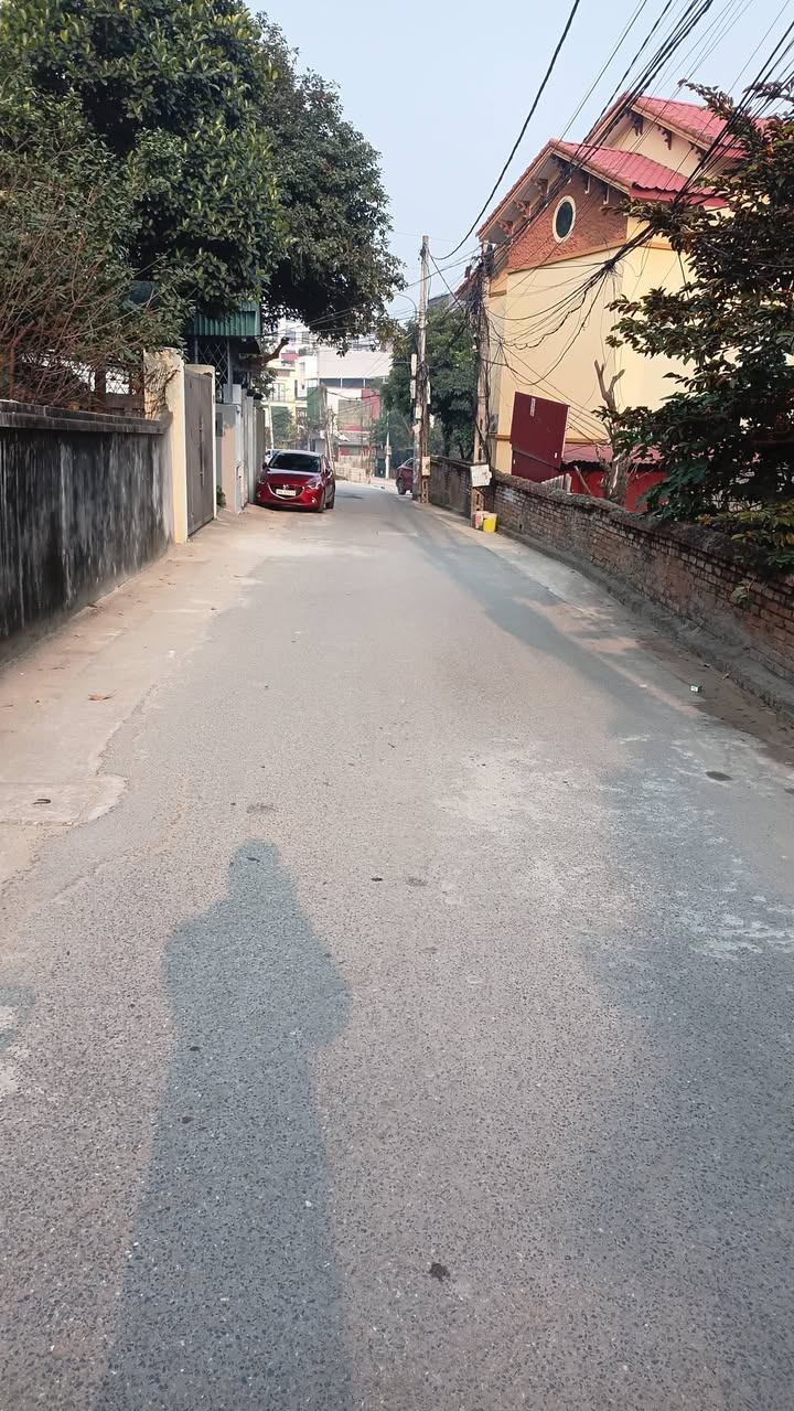 Đất mặt phố Thiều Hoa Tân Dân 90m² - Đầu tư kinh doanh lý tưởng!