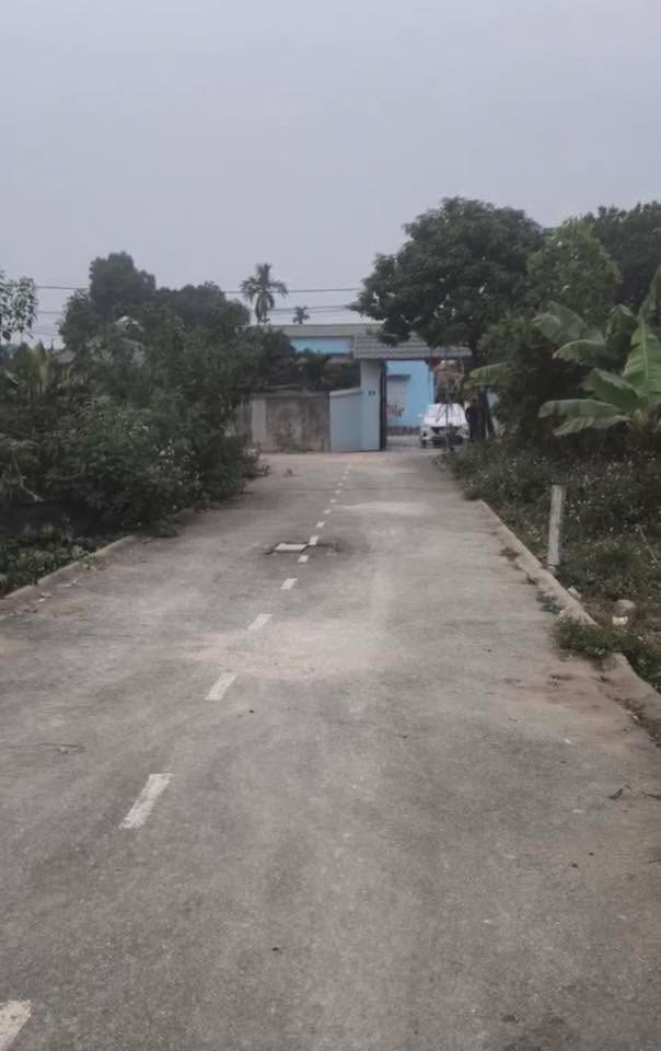 Đất nền xã Trung Mỹ, Bình Xuyên 61,5m² giá chỉ dưới 2 tỷ - Cơ hội hiếm có đầu tư!