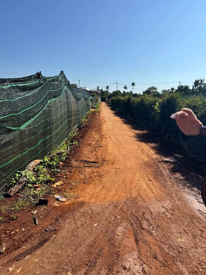 Đất thổ cư Hẻm 61 Nguyễn Thái Bình, Hòa Thắng 250m² giá 2.5 tỷ - Cơ hội đầu tư tuyệt vời!