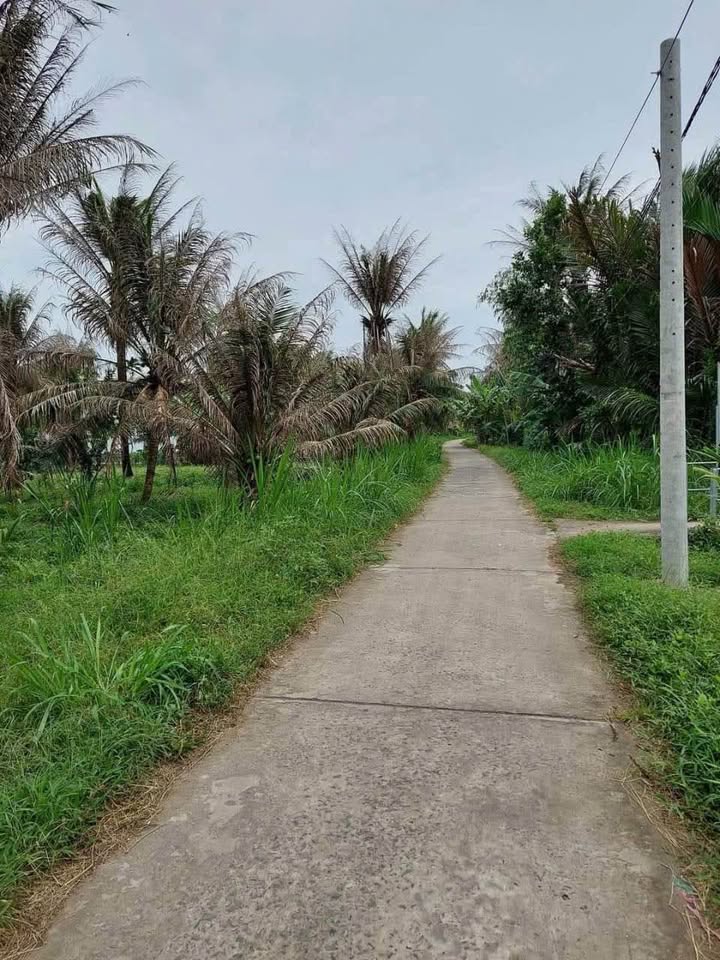 Đất Phường Phú Tân Bến Tre 35000m² giá 4.2 tỷ - Mặt tiền lộ đan, giao thông thuận tiện!