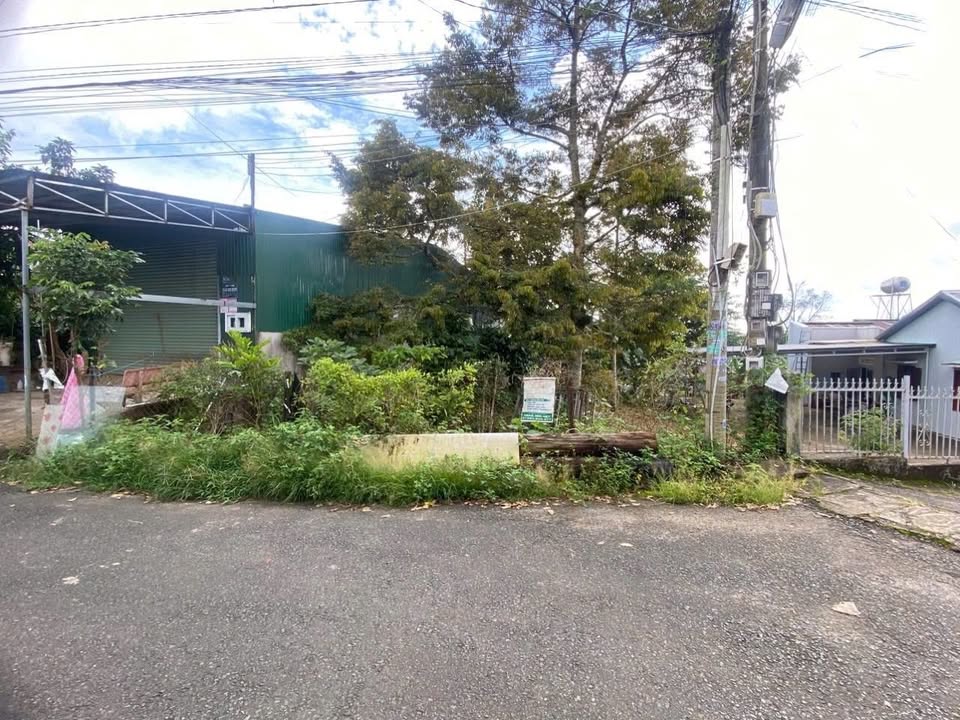 Đất thổ cư Hẻm Đinh Tiên Hoàng, Bình Thạnh 662m² giá 4.6 tỷ - Cơ hội đầu tư tuyệt vời!