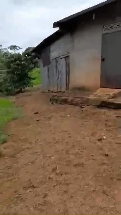 Đất nền 1.7 sào tại Lộc Ngãi, Bảo Lâm chỉ 900 triệu - Đầu tư sinh lời ngay!