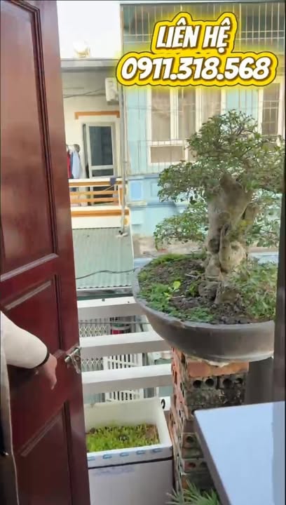 Nhà 3 tầng tại Thành Thái, Thanh Hóa 54m² giá 3.55 tỷ - Ô tô vào tận nơi!