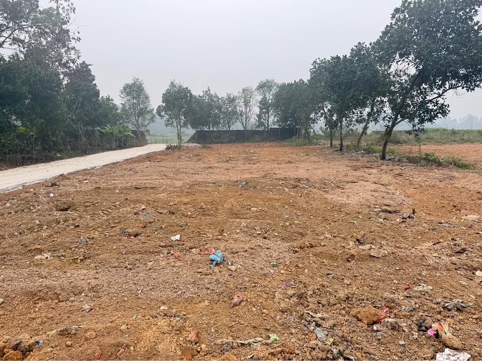 Đất nền khu quy hoạch Thanh Vinh, Phường Âu Cơ, 150m² chỉ 1 tỷ - Đầu tư sinh lời ngay!