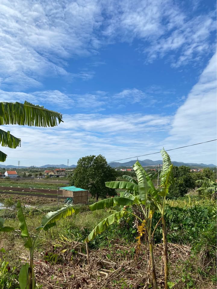 Đất nền Yên Mỹ, Hoành Bồ 320.000m² giá 2 tỷ - Cơ hội đầu tư lâu dài!