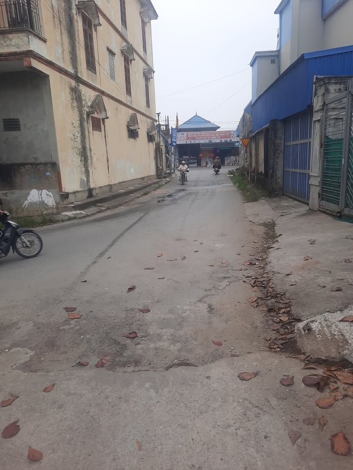 Bán đất mặt đường Trần Thủ Độ, Mỹ Phúc, 100m² - Vị trí lô góc đẹp, sổ đỏ chính chủ!