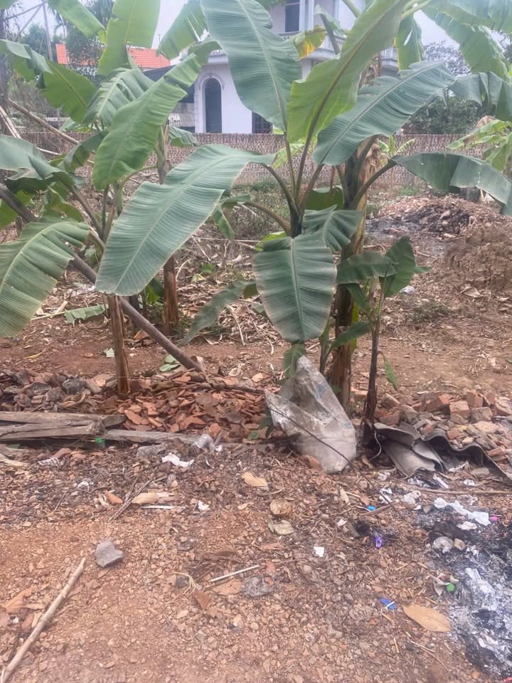 Đất thổ cư 81m² tại Nghĩa Hưng, Lạng Giang chỉ từ 200 triệu - Cơ hội đầu tư tuyệt vời!