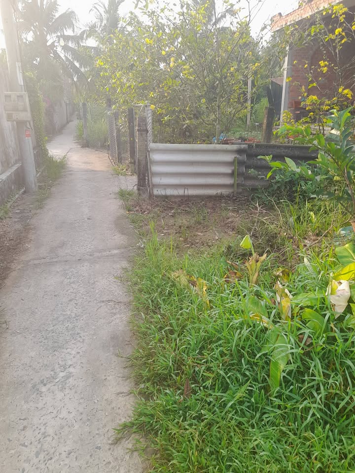 Đất nền Hòa Định, Chợ Gạo 865m² giá 1.2 tỷ - Cơ hội đầu tư tuyệt vời!