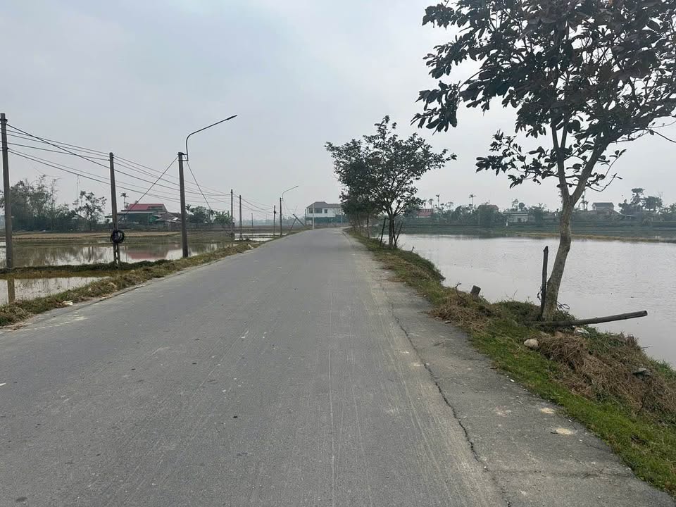 Đất quy hoạch Thạch Thắng, 121m² giá 1 tỷ - Đầu tư sinh lời ngay!