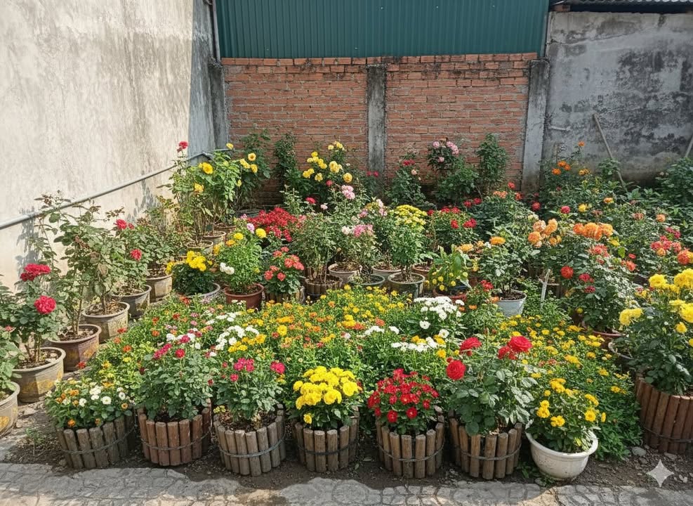 Đất nền Phường Đông Ngạc 46m² giá 500 triệu - Cơ hội vàng đầu tư!