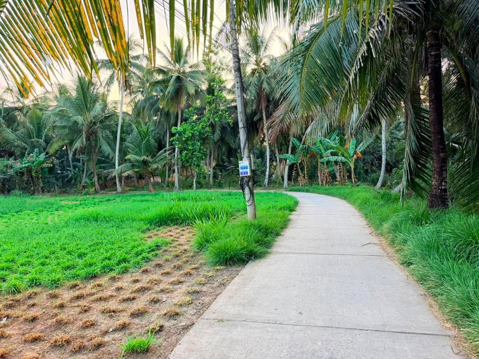 Đất nền Ô Chích B, Trà Vinh 500m² giá chỉ 500 triệu - Cơ hội đầu tư tuyệt vời!