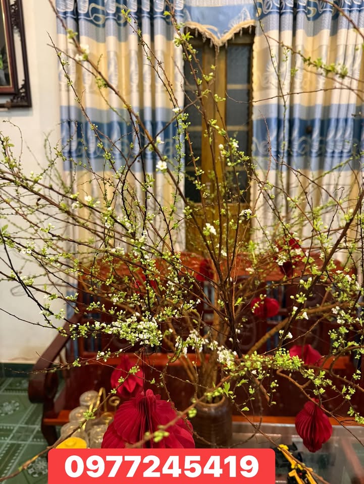 Đất nền thổ cư Xã Nam Đà 240m² giá 39.6 tỷ - Cơ hội đầu tư không thể bỏ lỡ!