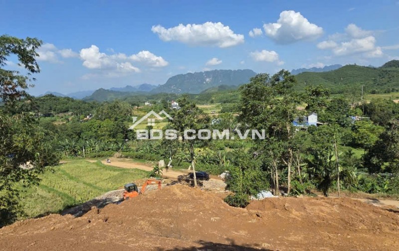 Đất Farm Hòa Bình 2800m² giá 1,7 triệu/m² - Cơ hội đầu tư lý tưởng!