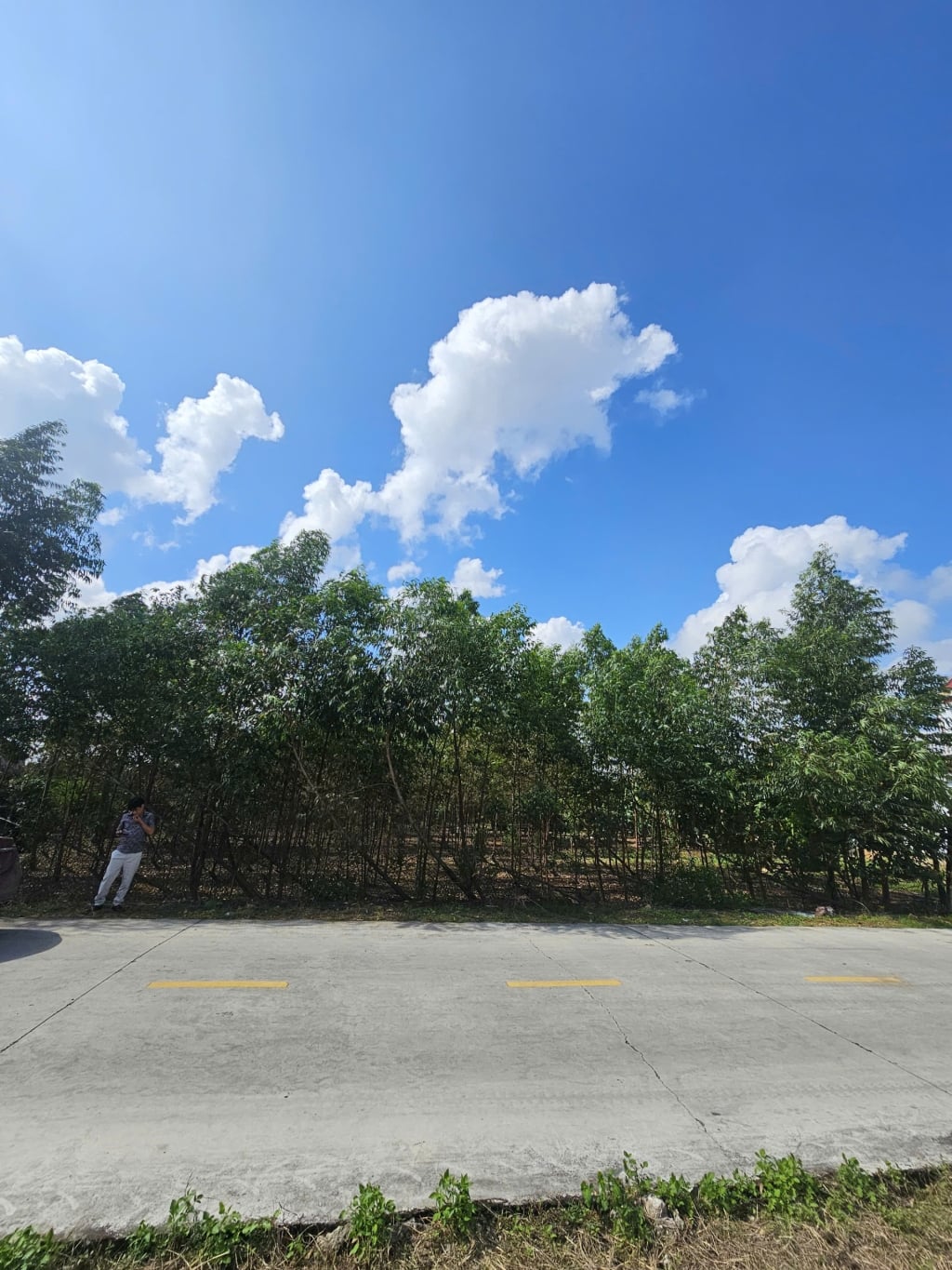 Đất nền 1500m² tại KDC Tân Tiến, Chí Linh - Đầu tư sinh lời lý tưởng!