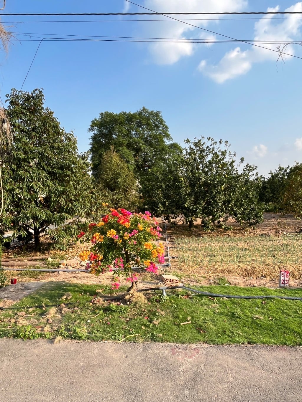 Đất nền Tân Uyên 150m² giá 980 triệu - Đầu tư sinh lời bền vững!