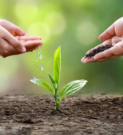 Cho thuê mặt bằng kinh doanh tại cụm công nghiệp Danh Thắng - Vị trí đắc địa, giá thỏa thuận!