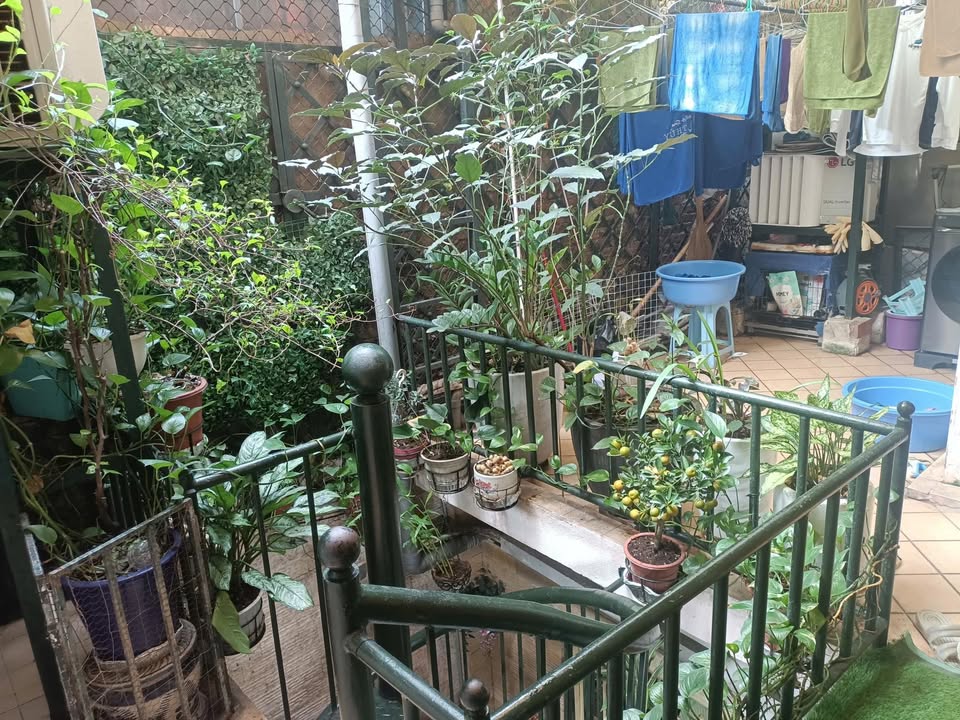 Nhà tập thể 2 tầng ngõ phố Cát Linh Đống Đa 160m² giá 12 tỷ - Đầu tư sinh lời tốt!