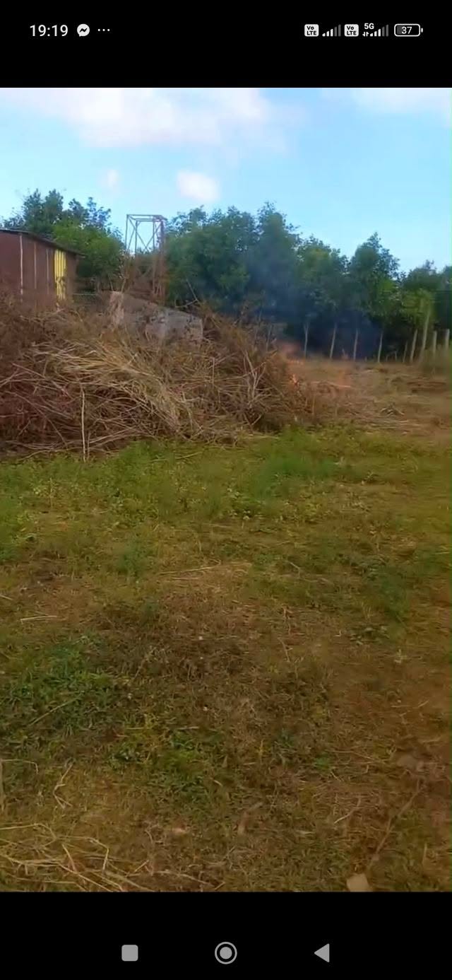 Đất nền 350m² Phường Hoa Lư, Pleiku chỉ 610 triệu - Cơ hội đầu tư tuyệt vời!