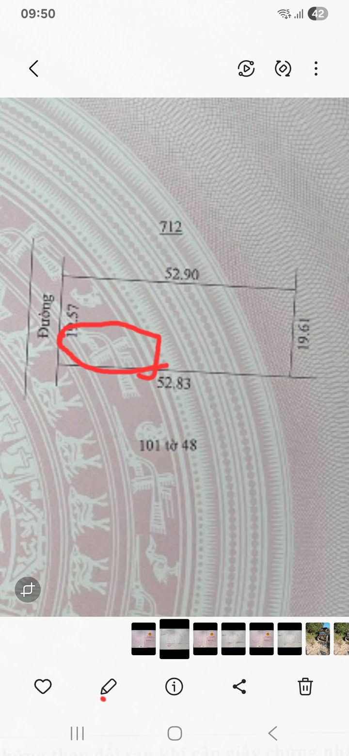 Đất nền phân lô xã Ia Băng, Đăk Đoa 1040m² - Tiềm năng đầu tư sinh lời cao!