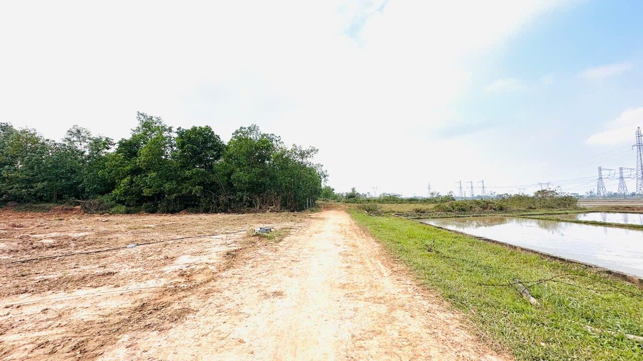 Đất thổ cư thôn Hưng Hoà, Nam Điền 900m² giá 1.6 tỷ - Cơ hội đầu tư hấp dẫn!