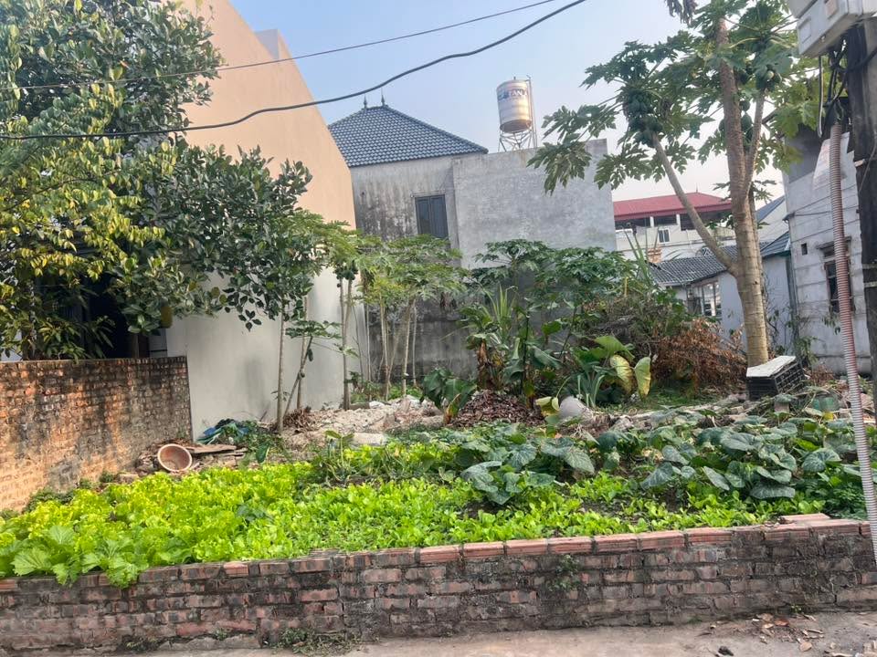 Đất nền tại xã Mai Đình, Sóc Sơn 132m² giá thỏa thuận - Đầu tư sinh lời cao!