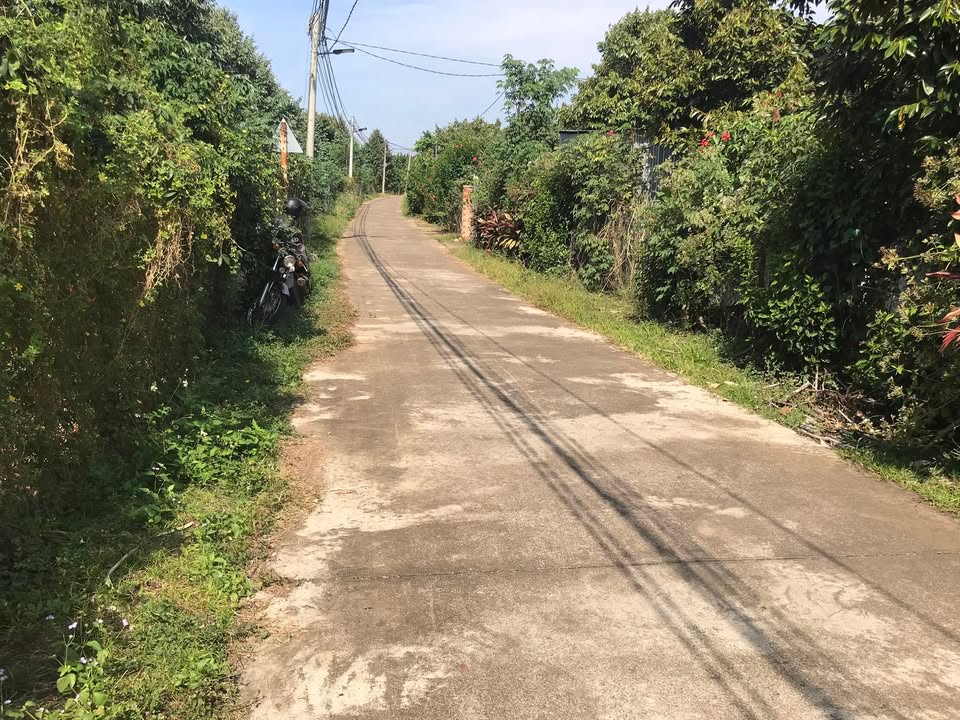 Vườn sầu riêng và mít xã Tà Lài 1188m² giá 1.5 tỷ - Đầu tư sinh lời ngay!