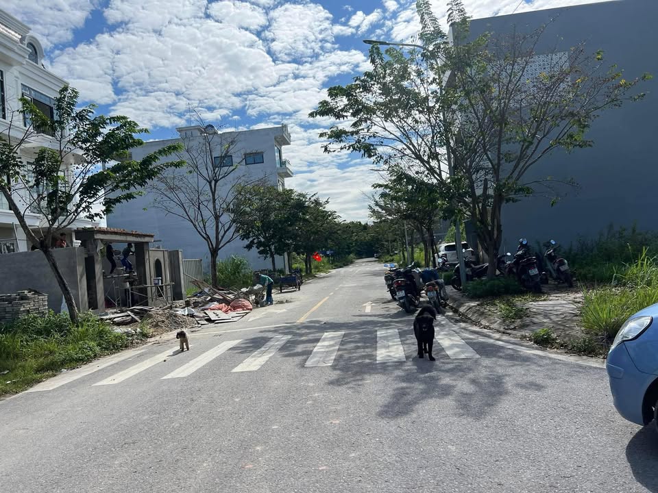 Đất nền KDC số 4 Thị trấn Thắng 100m² giá 2.3 tỷ - Mặt tiền 2 hướng, vị trí đắc địa!