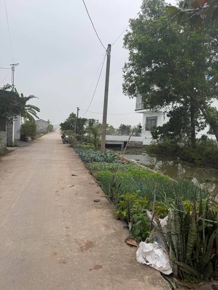 Đất nền xã Chợ Gốc, Kiến Xương 570m² giá 2 tỷ - Vị trí thuận lợi gần trường học!