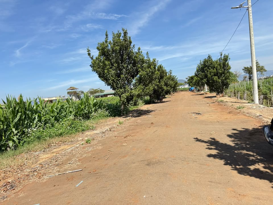 Đất nền mặt đường lớn Tổ 34, Đức Trọng 100m² giá 1.25 tỷ - Vị trí thuận lợi cho đầu tư!