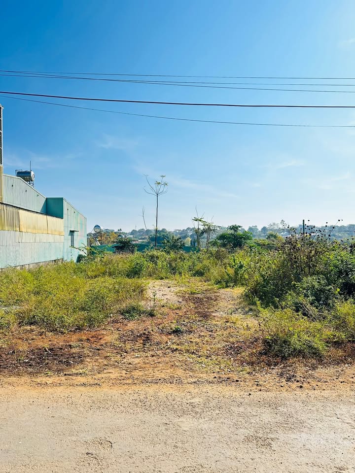 Đất mặt tiền Nguyễn Tuân, Pleiku 140m² giá 900 triệu - Đầu tư sinh lời ngay!