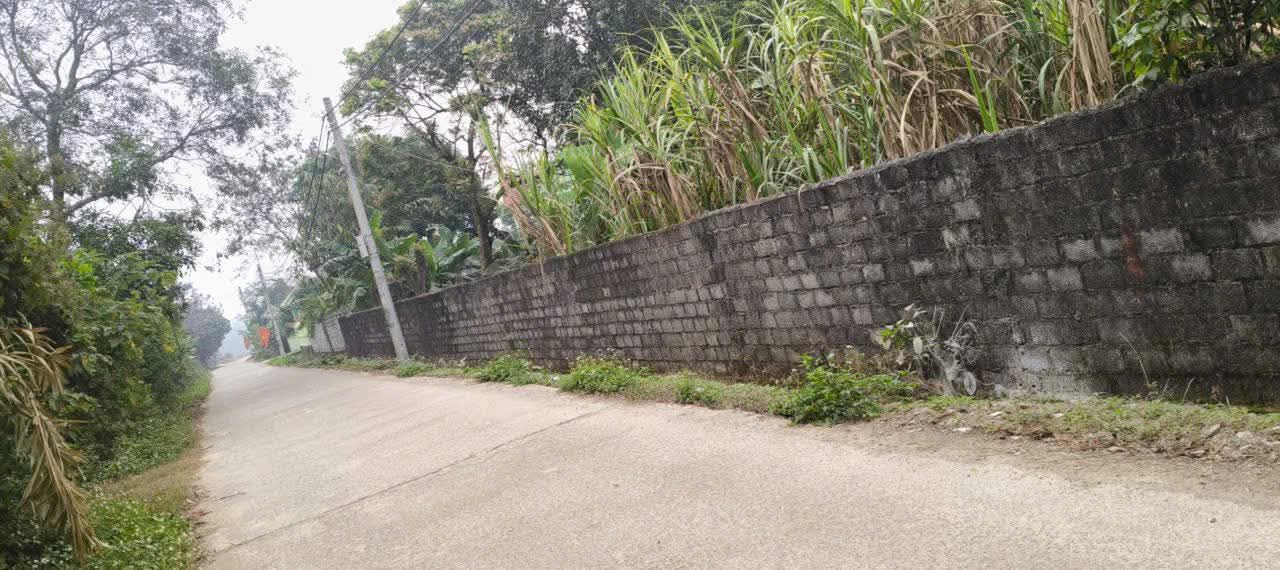 Đất thổ cư 165m² tại Làng Hạnh Phúc, Gia Sơn chỉ 500 triệu - Cơ hội đầu tư tuyệt vời!