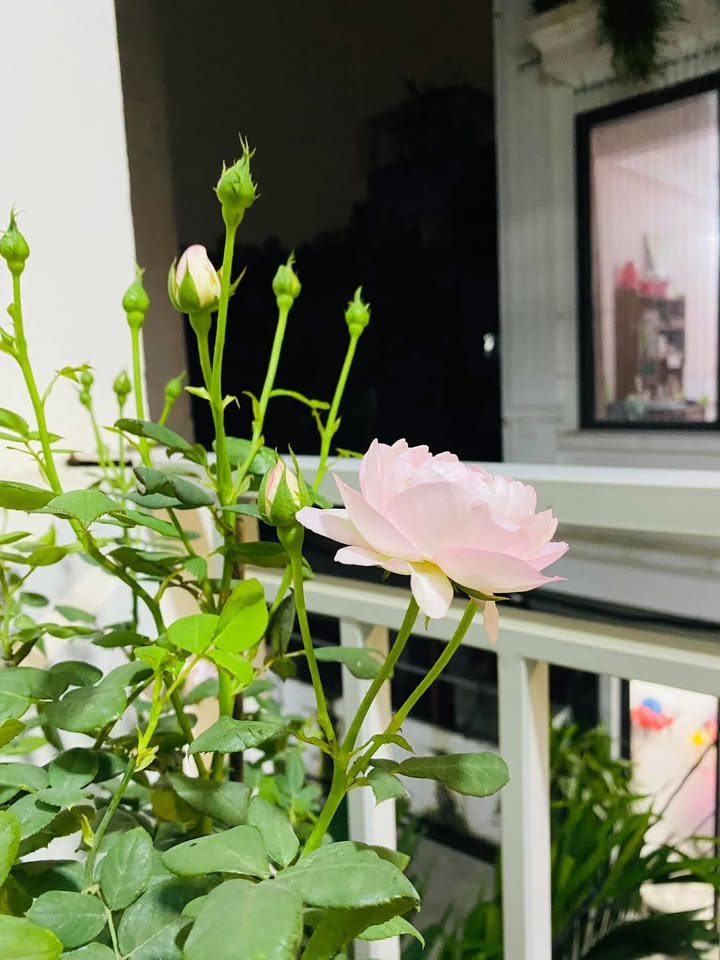 Nhà 3 tầng 70m² tại ngõ 130 đường Vạn Xuân, Hoài Đức - Chính chủ bán gấp!