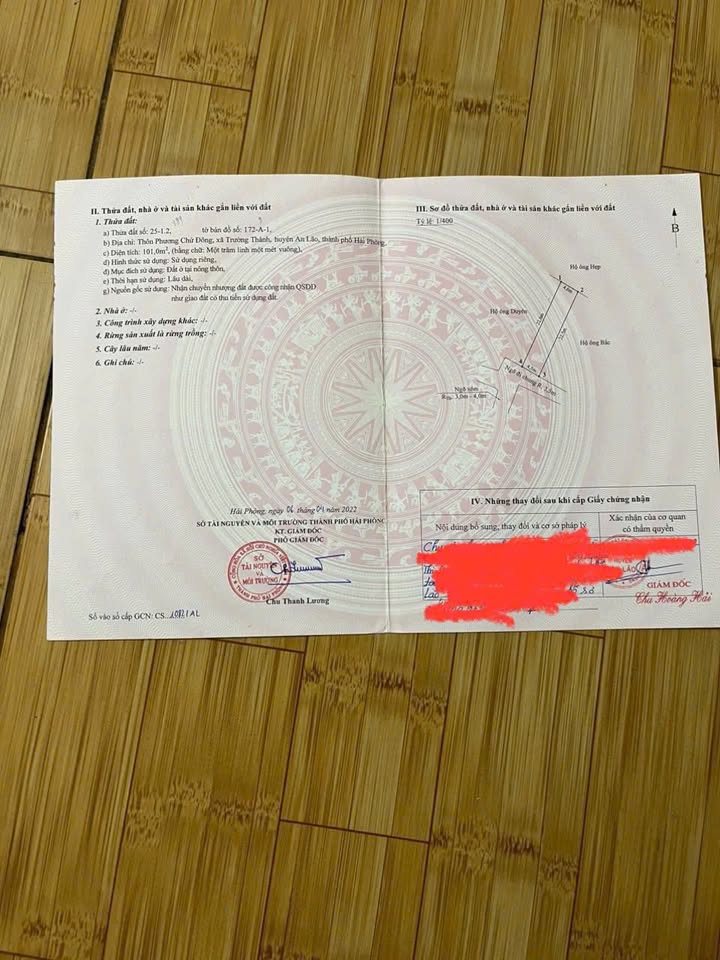 Đất nền Phương Chử Đông - An Lão 100m² chỉ 1 tỷ - Đầu tư sinh lời hấp dẫn!