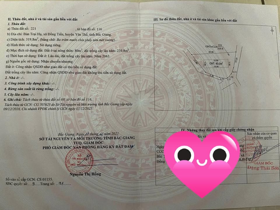 Đất nền tại xã Đông Tiến, huyện Yên Phong, 80m² - Sổ đỏ chính chủ, hai mặt tiền!