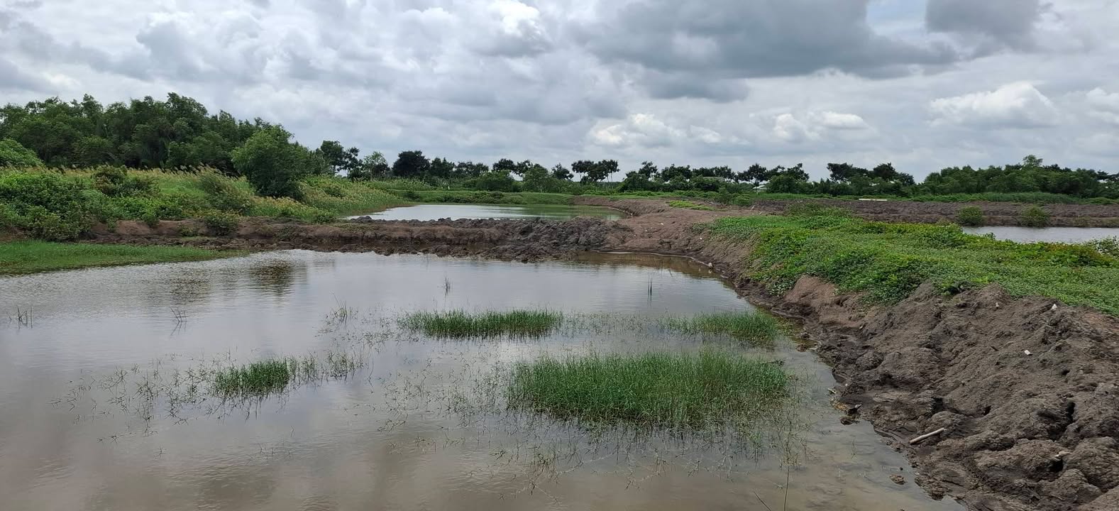 Đất nền 15.000m² tại xã An Thới Đông, Cần Giờ - Giá 60 tỷ, Cơ hội đầu tư lớn!