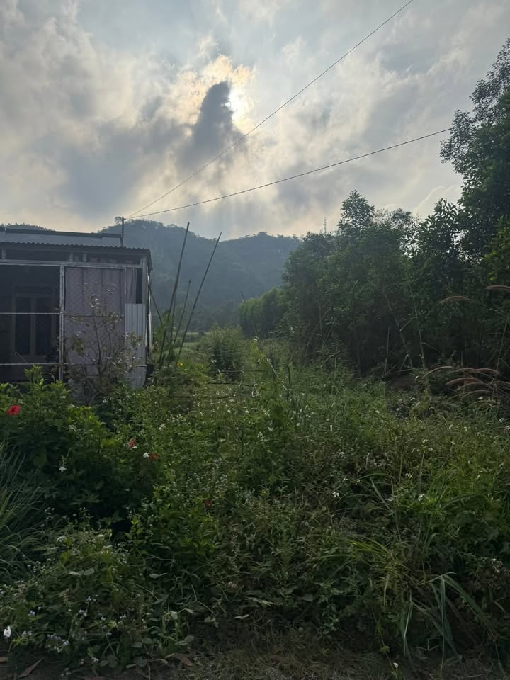 Đất thổ cư 252m² tại xã Ma Đa Guôi - Giá chỉ 600 triệu - Đầu tư sinh lời ngay!