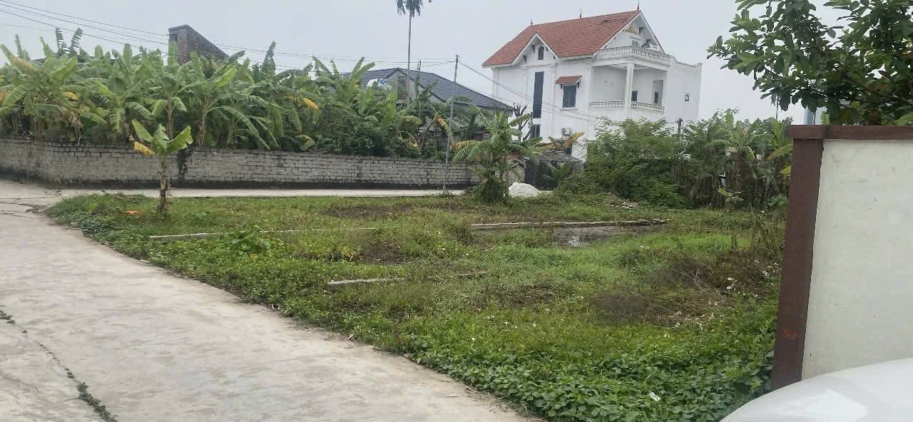 Lô đất 100m² thôn Mỹ Ân, Tứ Kỳ chỉ 900 triệu - Đầu tư sinh lời ngay!