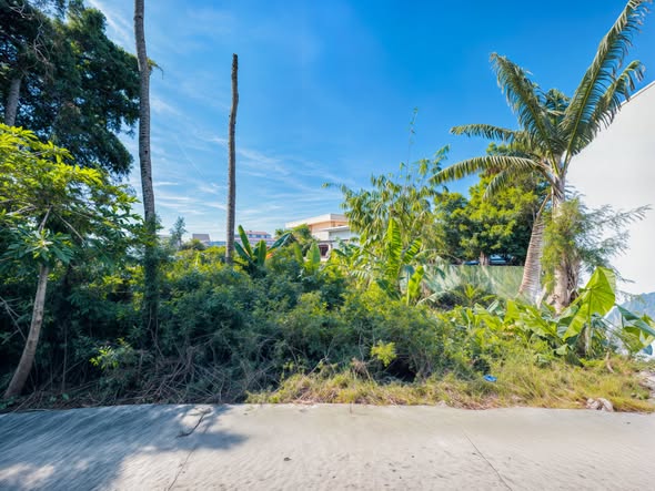 Bán đất hẻm Nguyễn Trãi, La Gi 179m² chỉ 800 triệu - Pháp lý rõ ràng!