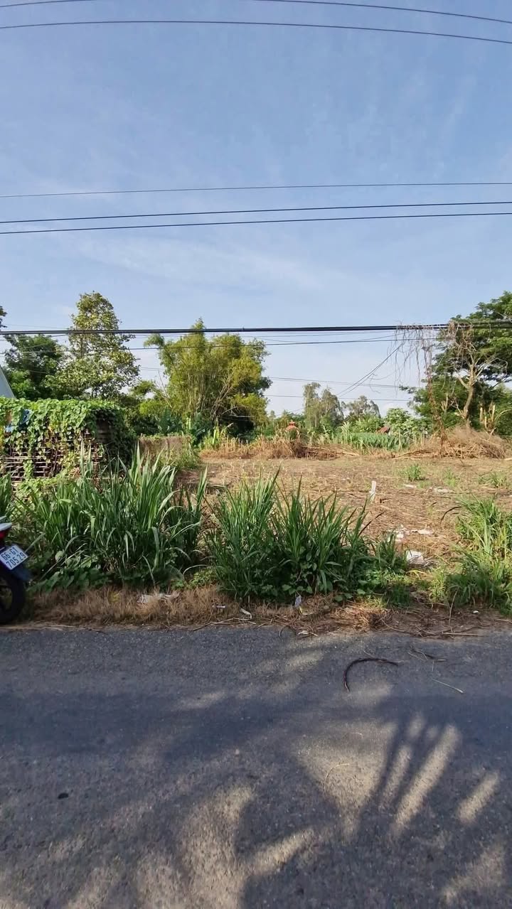 Đất nền thổ cư 144m² tại Xã Tân An, An Giang - Giá chỉ 480 triệu