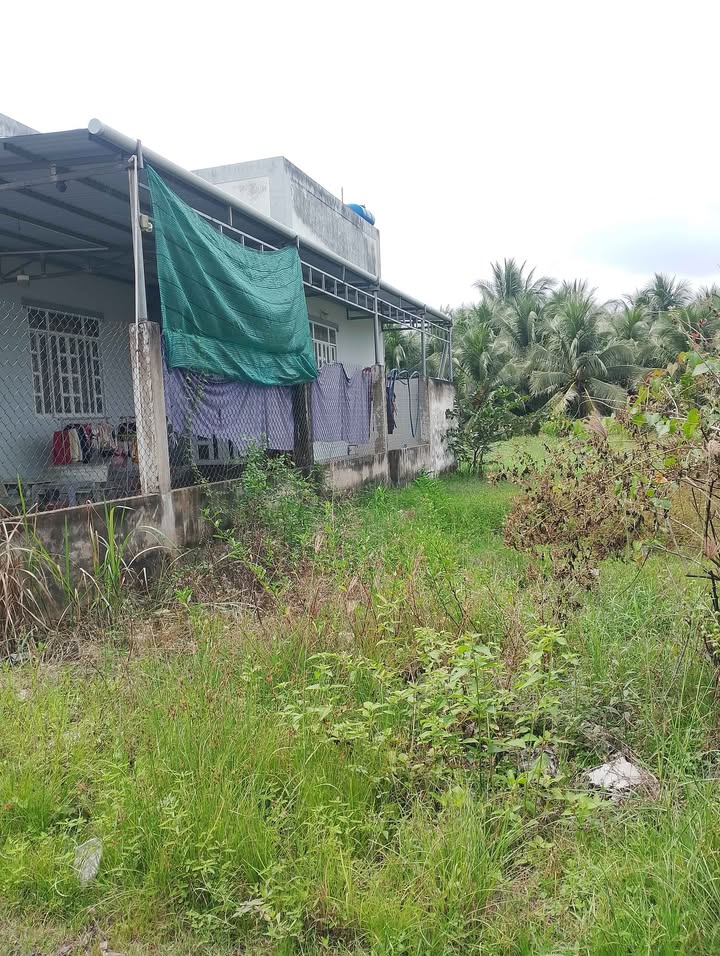 Đất nền xã Phú An Hòa, Châu Thành, Bến Tre 87m² - Đường vào xe 7 chỗ thuận tiện!