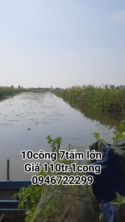 Đất Farm 10.700m² tại Thị trấn Thứ Mười Một, Kiên Giang - Giá chỉ 1.177 tỷ!