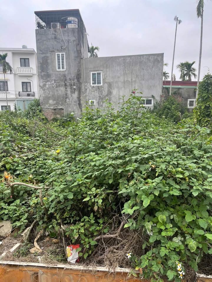 Lô đất đẹp tại Lương Khê - Tràng Cát 73m² giá 2.4 tỷ - Đầu tư sinh lời!