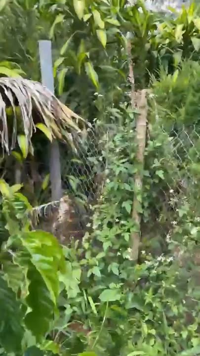 Đất vườn 1700m² tại xã Lộc Nga, Bảo Lộc - Giá chỉ 1.2 tỷ!