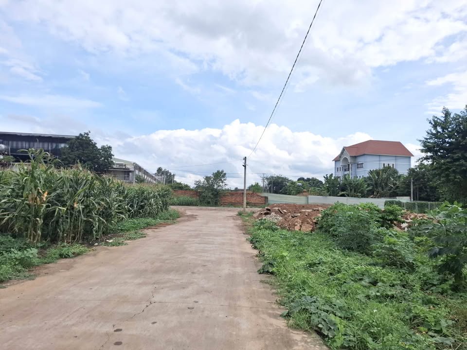 Đất nền KP Tiến Thành 3, Đồng Xoài 168m² giá 600 triệu - Đầu tư sinh lời ngay!