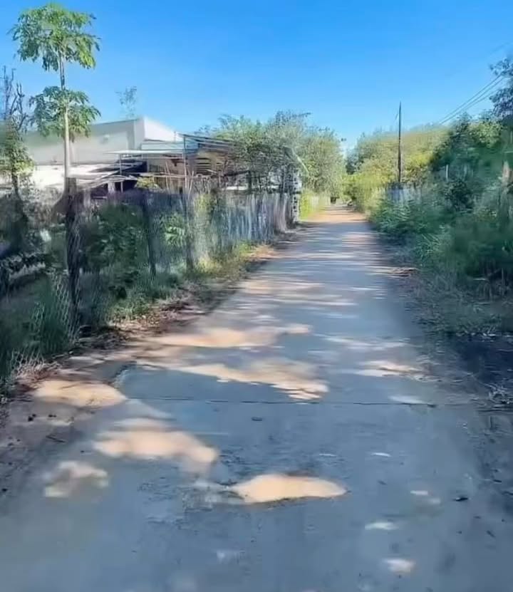 Đất nền Lộc Điền 2000m² chỉ 100 triệu - Đầu tư sinh lời ngay!