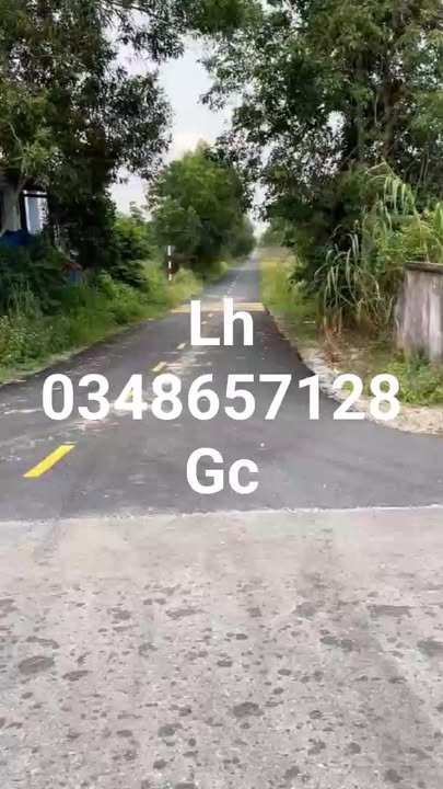 Đất nền Thị trấn Tân Bình 960m² giá 69.6 tỷ - Vị trí đẹp, tiềm năng đầu tư cao!