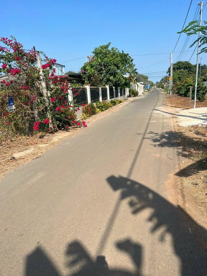 Đất nền Xã Nghĩa Thành, Huyện Châu Đức, 1440m² giá 5.94 tỷ - Đường bàn cờ, khu dân cư đông đúc!