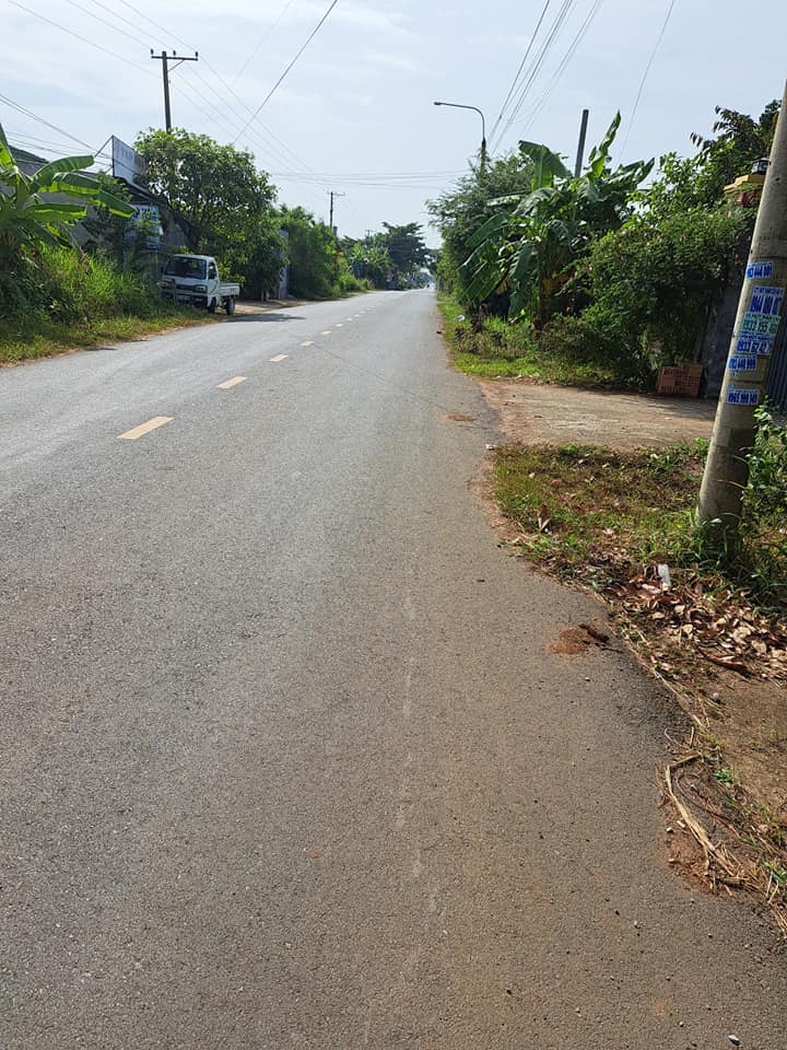 Đất vườn 1200m² mặt tiền đường Bao Phượng Châu - Cơ hội đầu tư hiếm có!