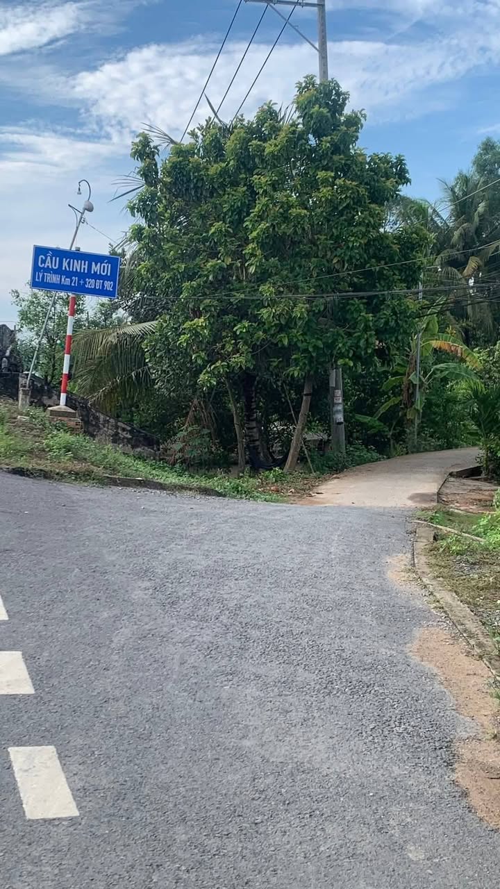 Đất thổ cư An Phước, Mang Thít 163m² giá 250 triệu - Bán gấp, sổ hồng chính chủ!