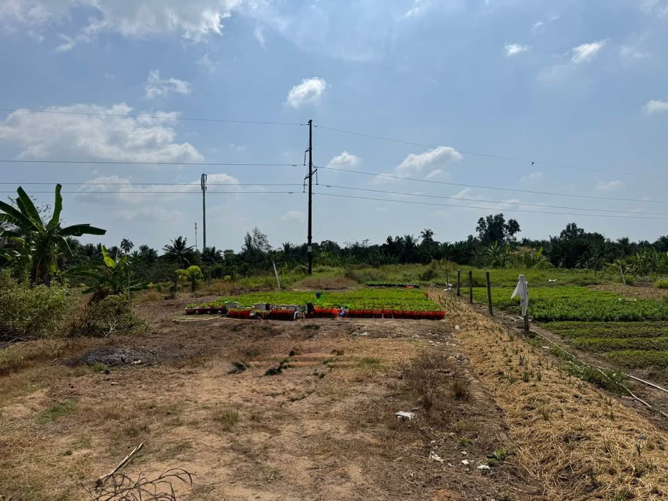 Đất khu T&T Phường 3, Vĩnh Long 2777m² giá 27.775 tỷ - Phù hợp đầu tư nghỉ dưỡng